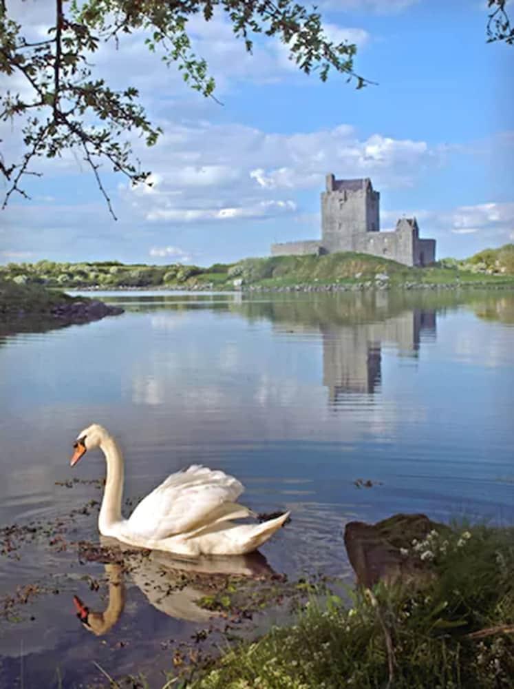 Merriman Hotel Kinvara ภายนอก รูปภาพ